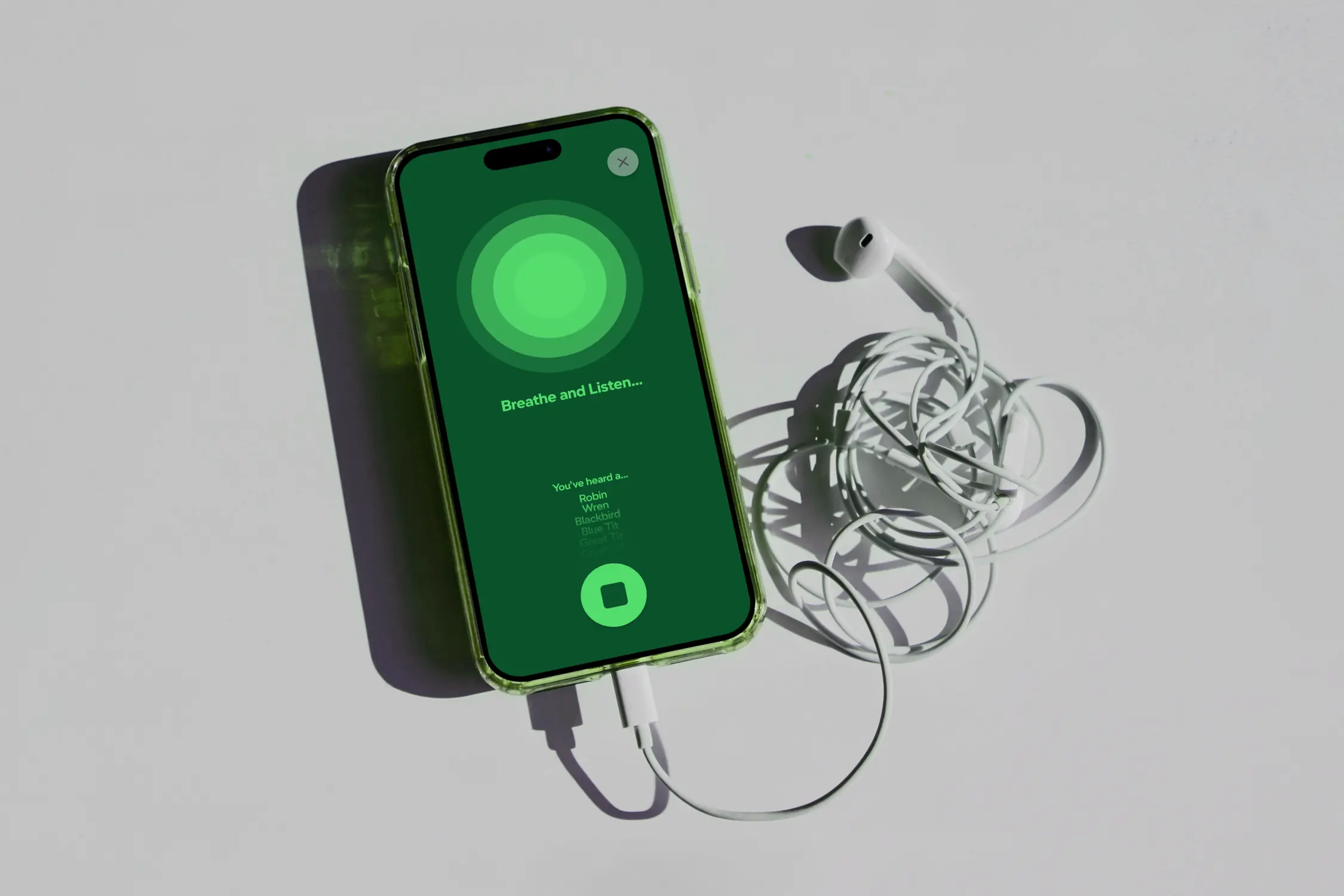 A mockup of the meditation page