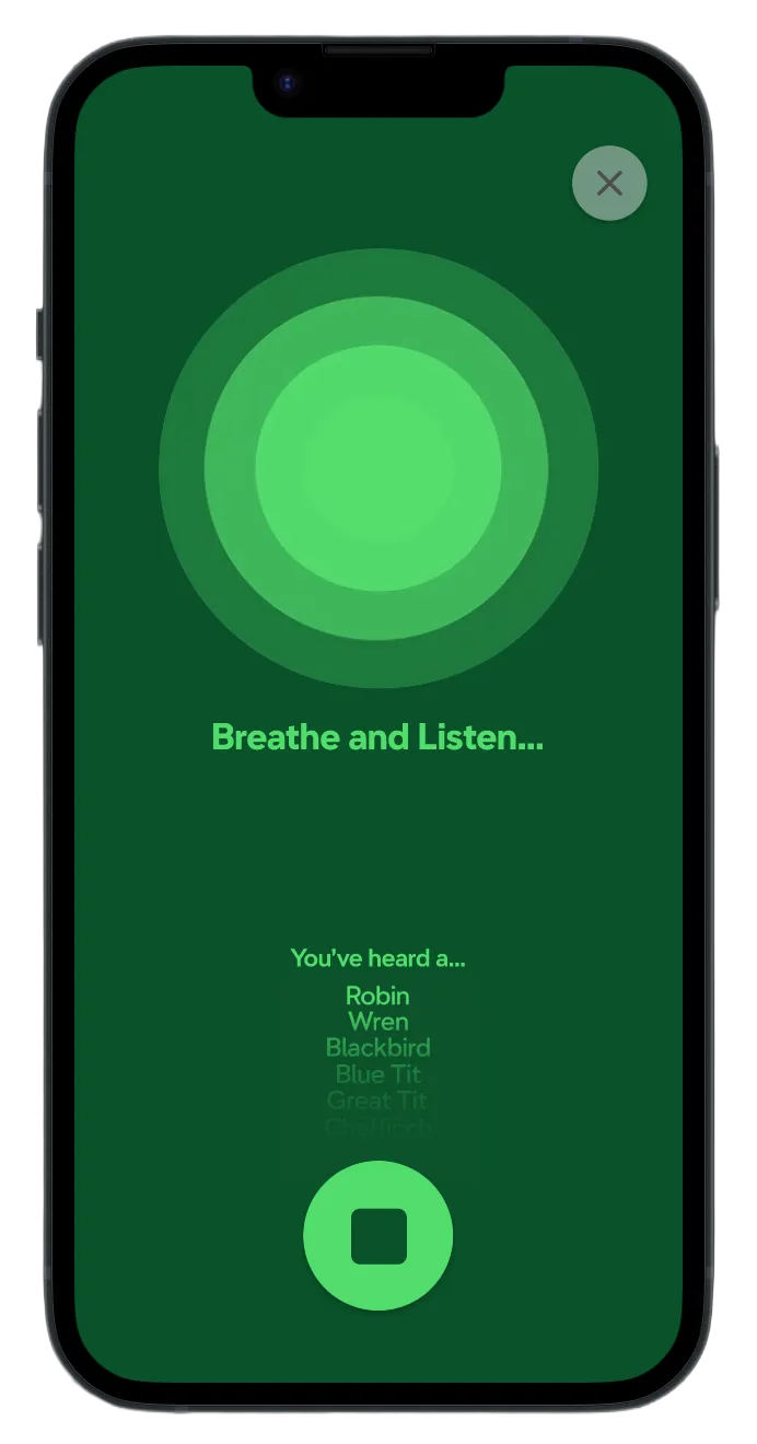 Mockup of my app interface using calm visualisation to support mindful engagement.